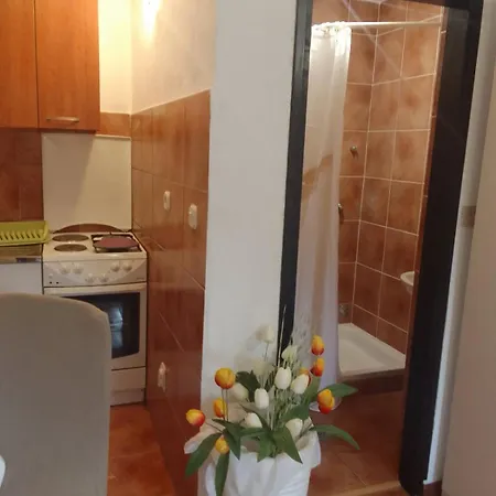 Apartamento Sapienti Sat