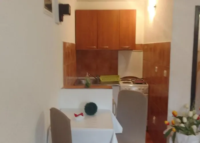 Sapienti Sat Apartman