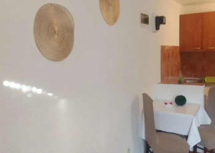 Sapienti Sat * Póla