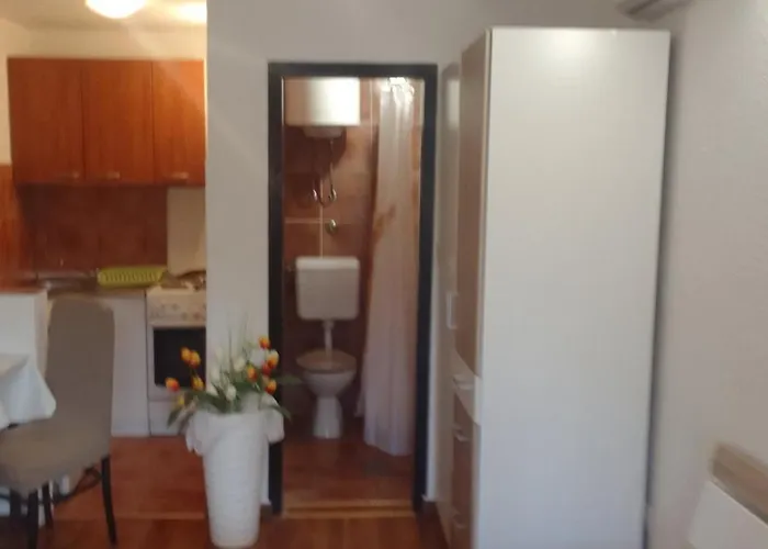 Sapienti Sat * Póla