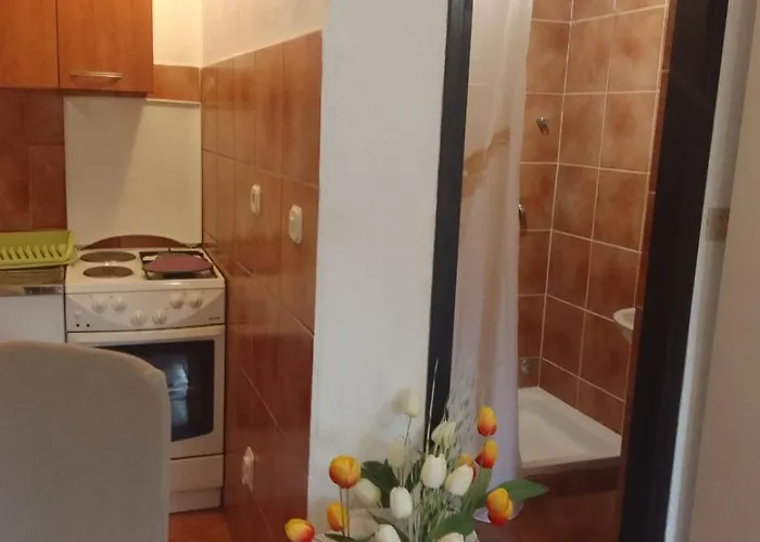 Apartman Sapienti Sat
